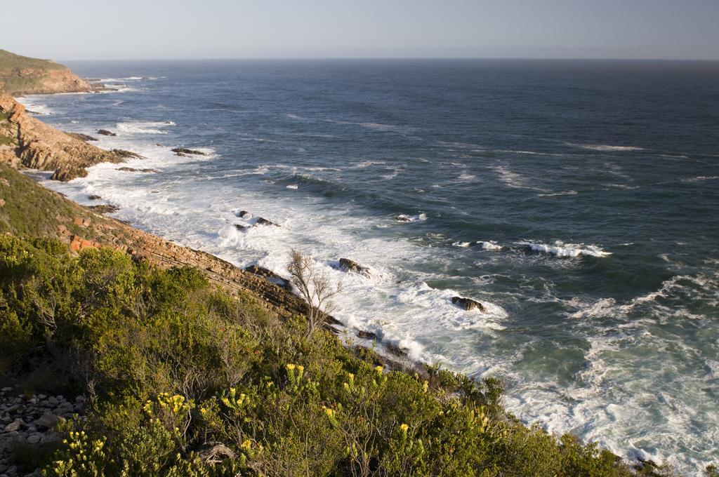 Plettenberg Park Hotel & Spa Plettenberg Bay Εξωτερικό φωτογραφία