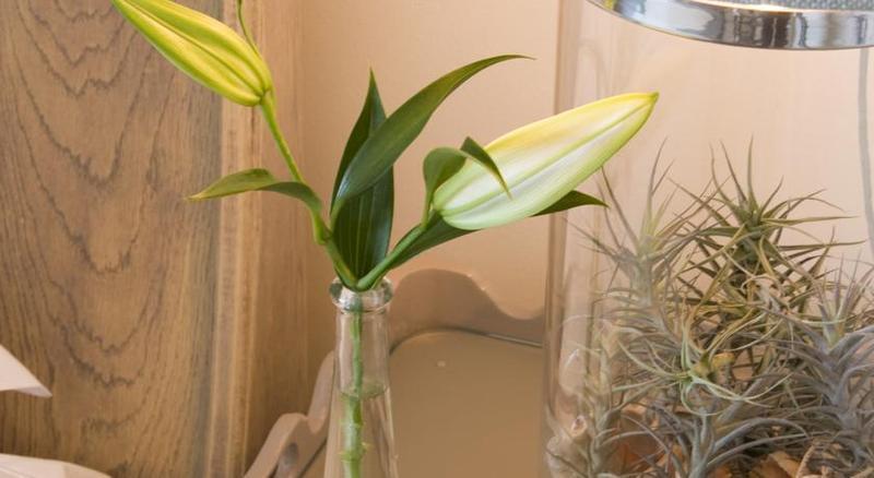 Plettenberg Park Hotel & Spa Plettenberg Bay Εξωτερικό φωτογραφία
